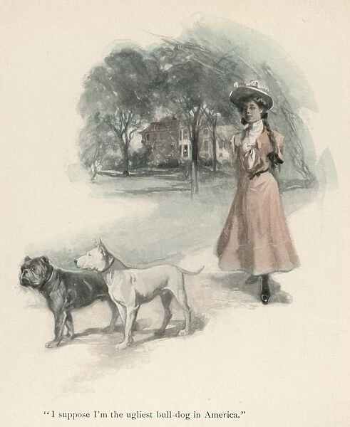 Girl and Two Dogs