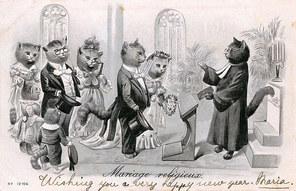 Group of cats at a wedding in a church on a French postcard