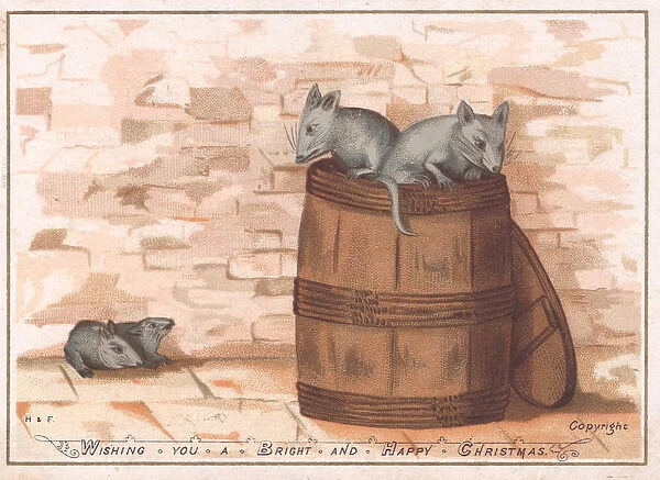 Four rats and a barrel on a Christmas card