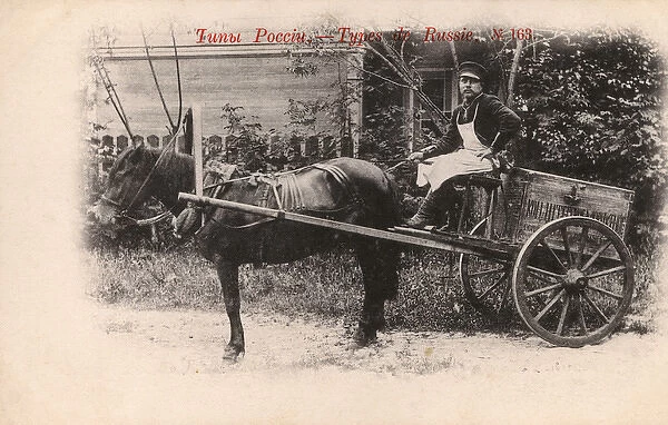 Russian Tradesman (trade unknown) driving his horse cart