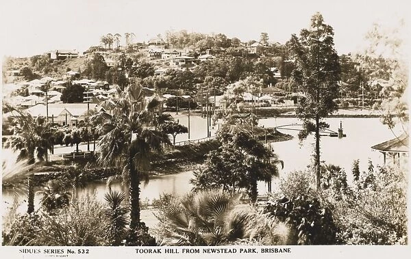 Toorak Hill from Newstead Park, Brisbane, Australia