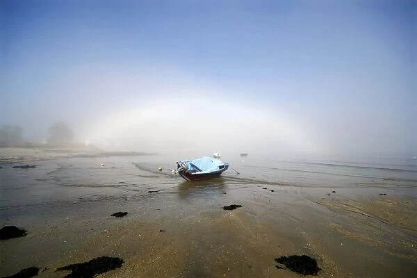 Fog bow. Misty rainbow-like arc, known as a fog bow or white rainbow