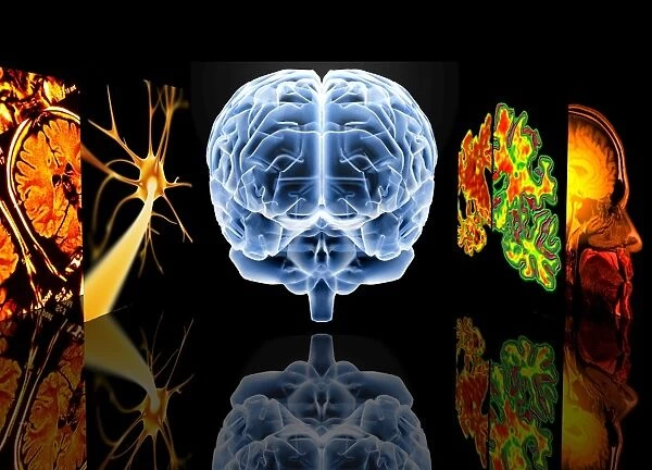 Neurology. Conceptual computer artwork depicting neurology