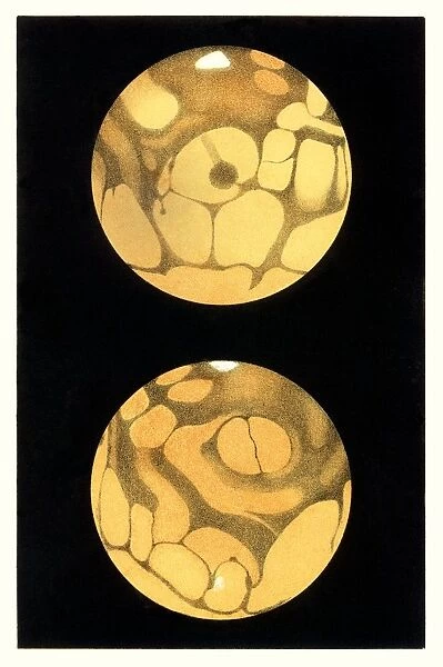 Schiaparellis Mars, historical artwork
