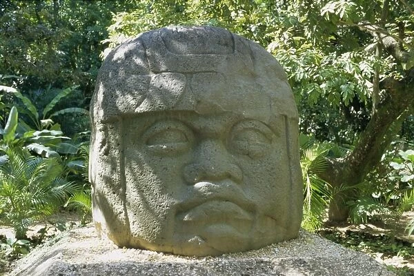 Olmec stone head at Parque-Museo la Venta