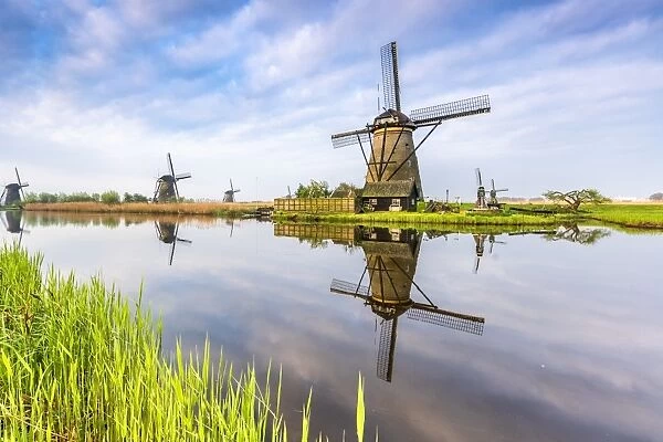 Windmills reflection on the canal and grass in the foreground, Kinderdijk, UNESCO