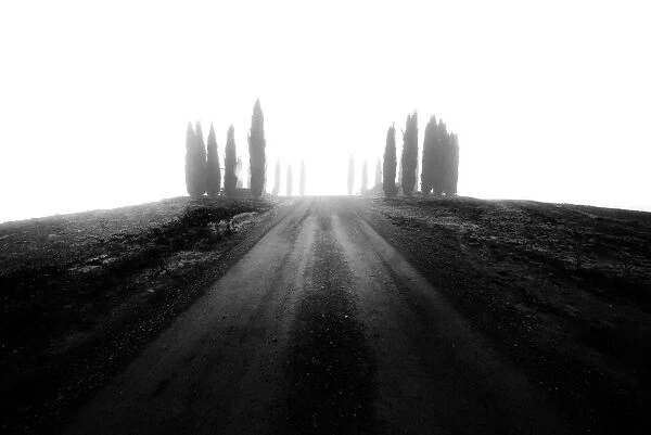 Country road covered with fog during autumn, Val d Orcia, Tuscany, Italy