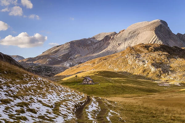 Fosses Alp with mount Croda del Beco, Cortina d Ampezzo, Belluno district, Veneto