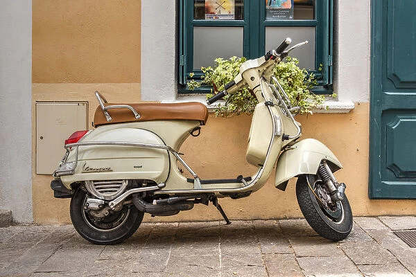 Old Vespa scooter parked in a street, Ceret, Pyrenees-Orientales, France
