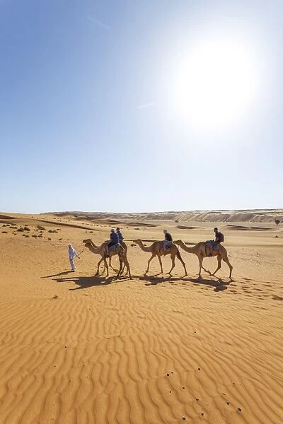 Oman, Wahiba Sands. Tourists riding camels in the desert (MR)