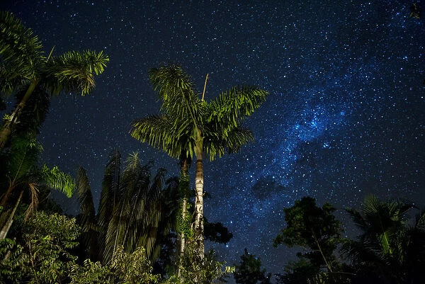 South America, Peru, Amazonia, South Manu National Park, night sky, UNESCO World