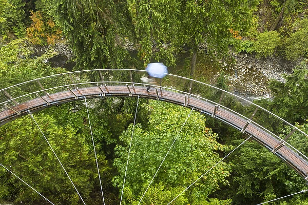 Tourists in Capilano Suspension Bridge and Park, Vancouver, British Columbia, Canada