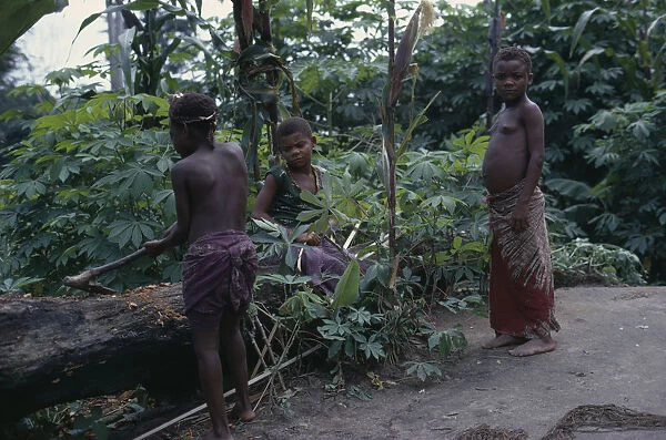 20070593. CONGO Ituri Forest Pygmy group in forest clearing. Zaire