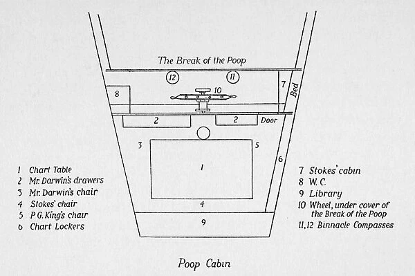 Diagram of the poop cabin of the H. M. S. Beagle, on which Charles Darwin sailed from 1831 to 1836