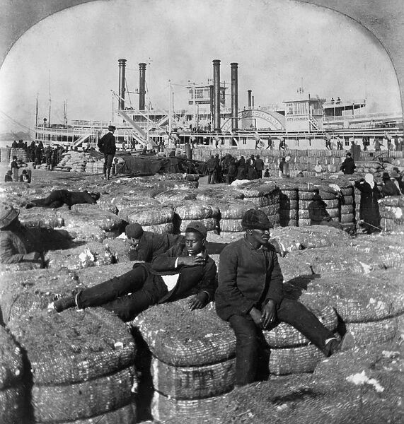 NEW ORLEANS: COTTON, 1902. Men resting on bales of cotton in New Orleans, Louisiana