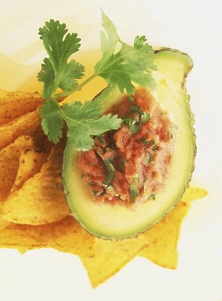Halved avocado filled with fresh tomato coulis, served with tortilla chips and parsley sprig, close up