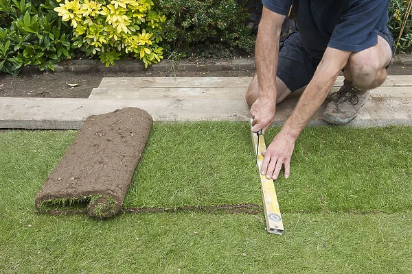 Laying turf, cutting off piece with a knife, close-up