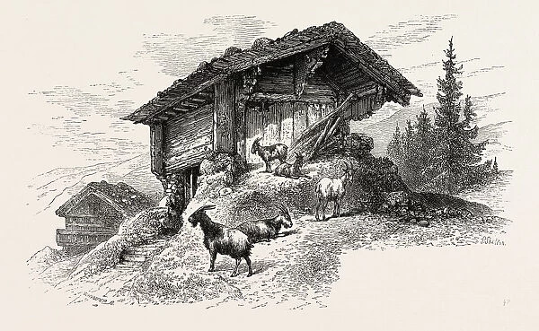Mountain chalet, Switzerland, 19th century engraving