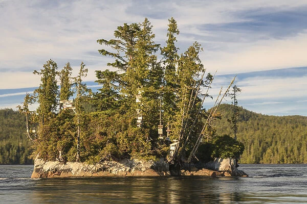 Island on river, Turret Rock, Nakwakto Rapids holding world record for fastest current of any navigable waterway, Northern British Columbia, Canada