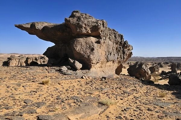 Sandstone rock formation on Tasset Plateau, Tassili n Ajjer National Park, Unesco World Heritage Site, Wilaya Illizi, Algeria, Sahara, North Africa, Africa