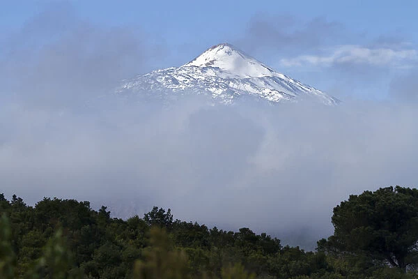 View of the Pico del Teide mountain above the clouds, Tenerife, Canary Islands, Spain, Europe