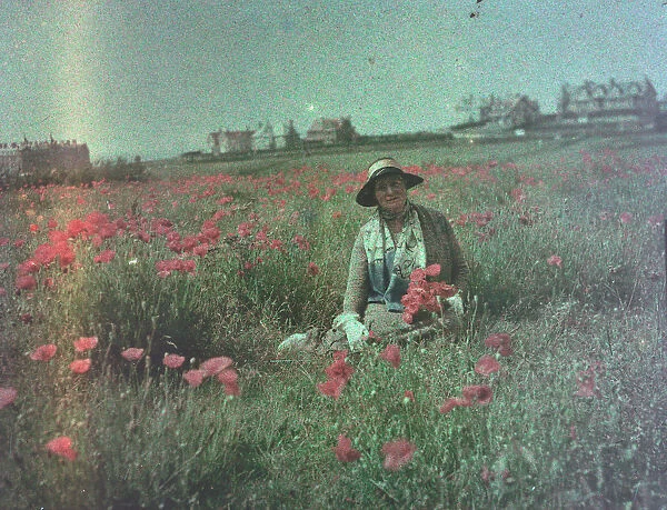 Lady sitting in a poppy field behind Fistral Beach Newquay, Pentire, Cornwall. Around 1925
