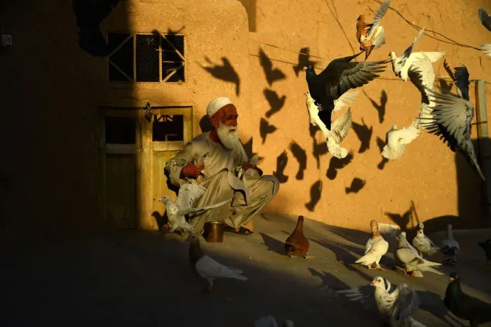 Framed Print : Afghanistan-Society-People