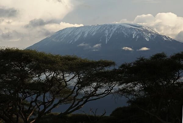 Africas highest mountain, Mt. Kilimanjaro rises over a layer of clouds late