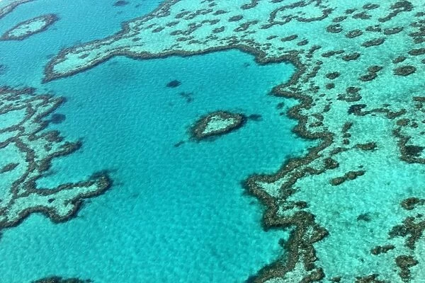 Australia-Conservation-Environment-Barrier Reef