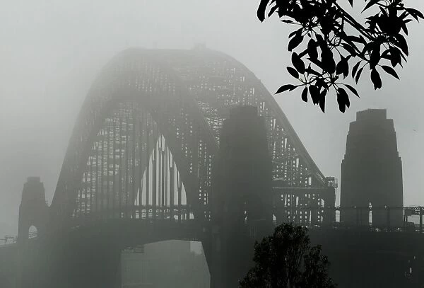 Australia-Fog-Harbour-Bridge