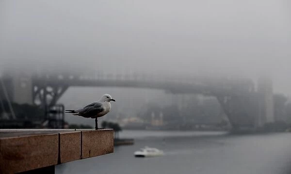Australia-Weather-Fog