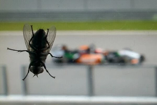 Auto-Prix-Mas-F1. A Force India car passes a fly on a window during the