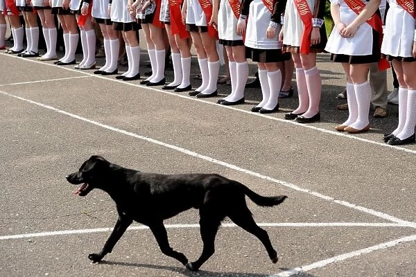 Belarus-Ceremony-Dog