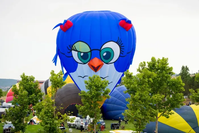 Framed Print : A bird-shape hot-air balloon raises during the 21th European Balloon Festival in Igualada