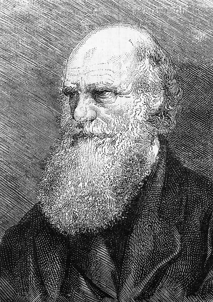 Charles Darwin Engraving