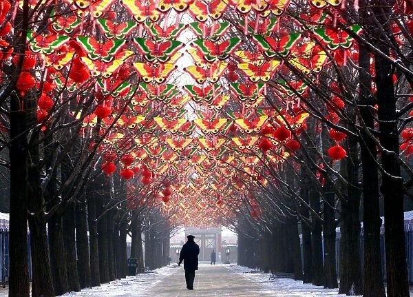 China-New Year-Decorations-Butterflies