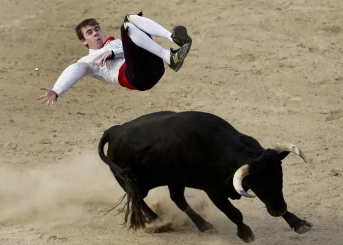 Framed Print : Colombia-Bullfighting-Recortadores Framed Print : Colombia-Bullfighting-Recortadores