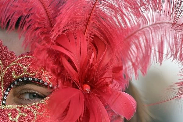 A costumed reveller poses on Saint Marks square during the carnival on February 21