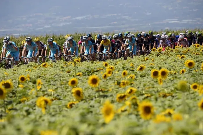 Framed Print : Cycling-Fra-Tdf2014-Postcard