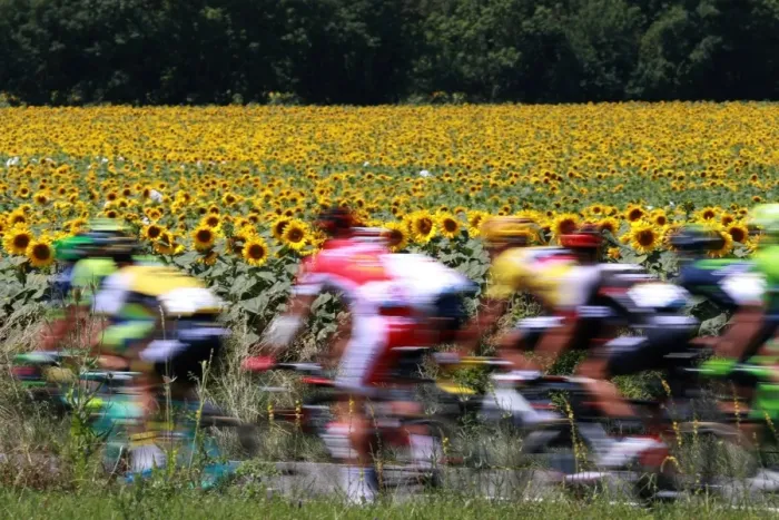 Framed Print : Cycling-Fra-Tdf2016-Pack-Postcard Framed Print : Cycling-Fra-Tdf2016-Pack-Postcard