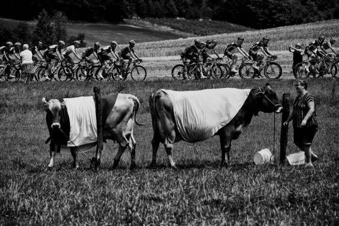 Framed Print : Cycling-Fra-Tdf2017-Pack-Postcard-Black and White Framed Print : Cycling-Fra-Tdf2017-Pack-Postcard-Black and White