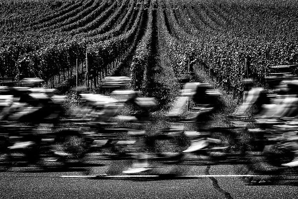 Cycling-Fra-Tdf2017-Postcard-Black and White