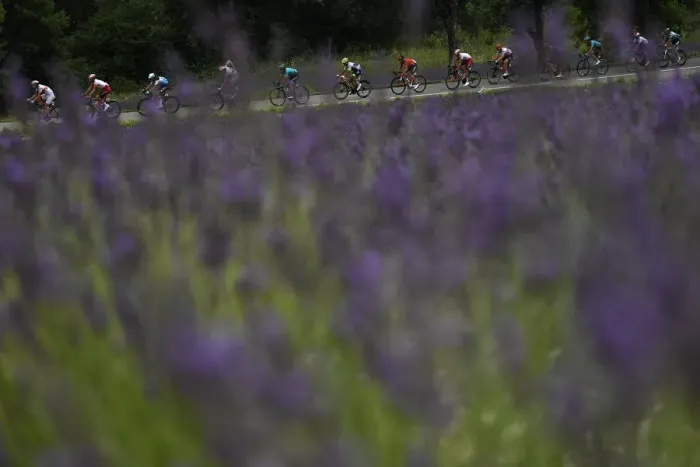 Framed Print : CYCLING-FRA-TDF2019-POSTCARD-PACK Framed Print : CYCLING-FRA-TDF2019-POSTCARD-PACK