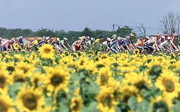 Cycling-Tdf-Features