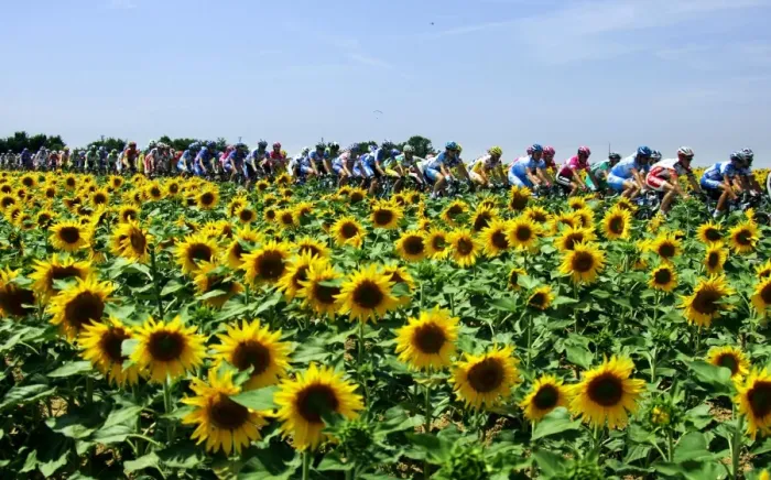 Framed Print : Cycling-Tdf2005-Pack Framed Print : Cycling-Tdf2005-Pack