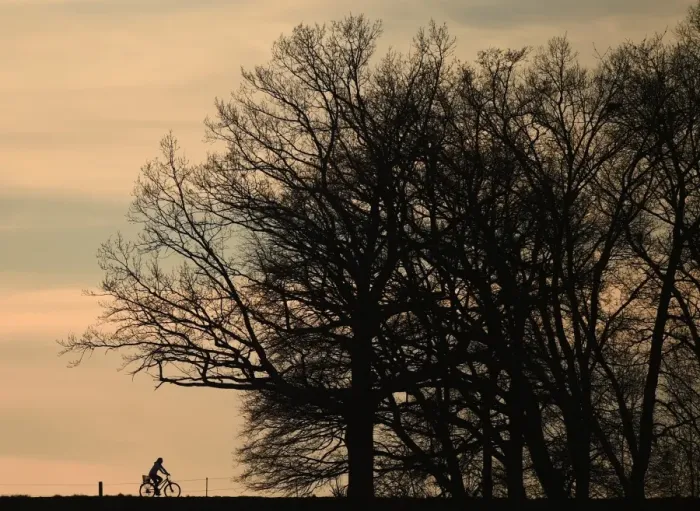 Framed Print : A cyclist passes along a country lane near the small Bavarian village of Puchheim near Munich
