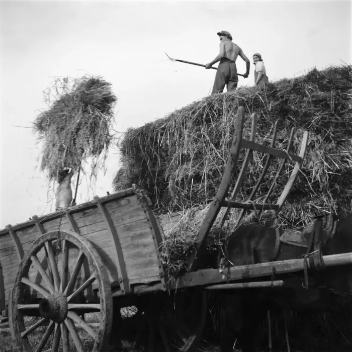 Framed Print : FRANCE-AGRICULTURE