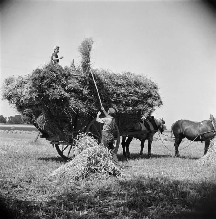 Framed Print : FRANCE-AGRICULTURE