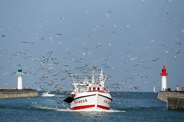 France-Fishing-Boat-Birds