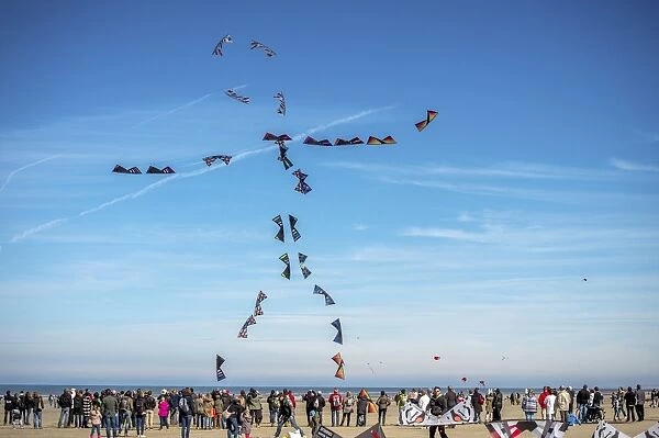 France-Leisure-Kites